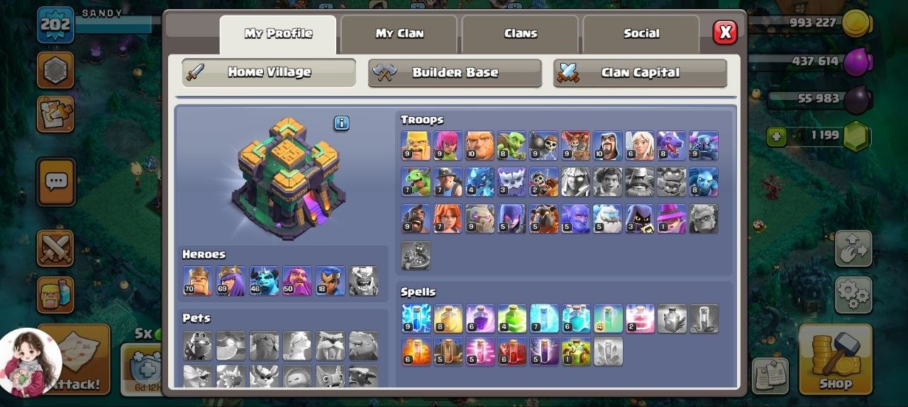 TH14 with Pumpkin Scenery | 70-69-50-25-18 Heroes | Good Equipment | Stacked Magic Items & 477 CWL Medals | LVL 202 - Image 2