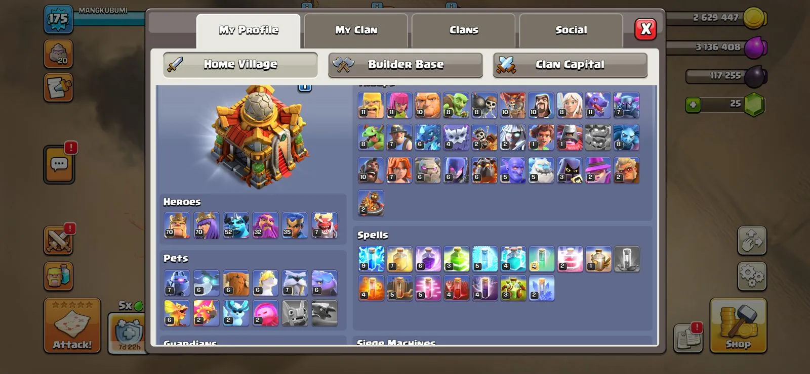✨🌸 TH16 Max • BK 70 • AQ 70 • PM 52 • GW 32 • RC 35 • DD 7 • Many Magic Items • XP 175 🌸✨ - Image 5