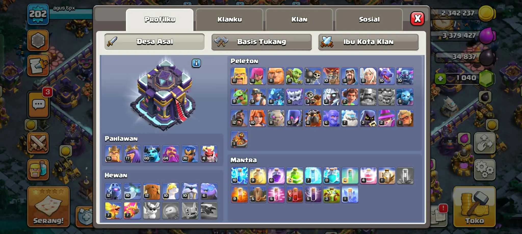 ✨🌸 TH15 Almost Max • BK 75 • AQ 77 • PM 60 • GW 64 • RC 36 • DD 4 • Full Hero Equipment • XP 202 🌸✨ - Image 2