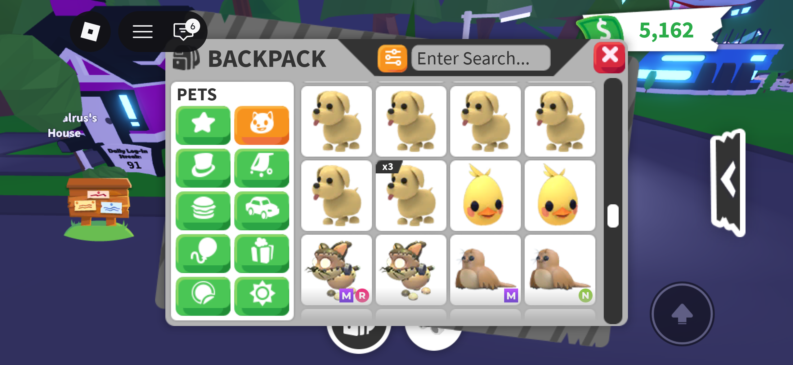 Common pet bundle - Image
