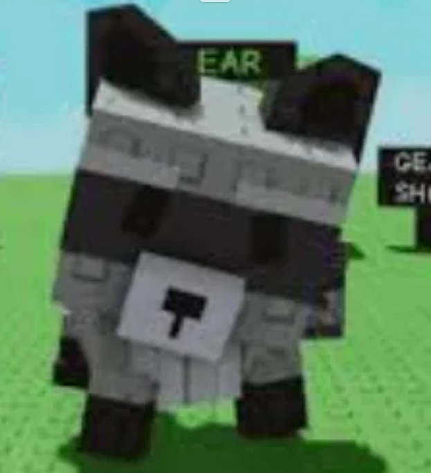 Grow a Garden 2 > Raccoon > Normal > Normal - Image