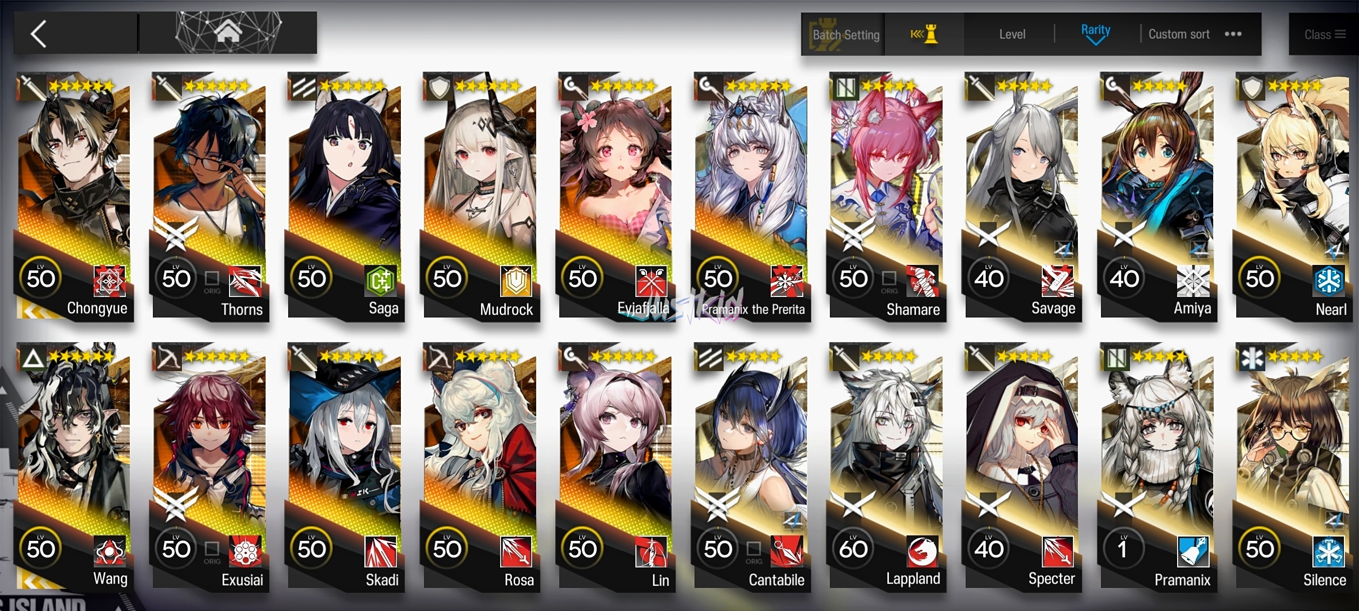 ARKNIGHTS GLOBAL STARTER 11*6 , 2 LIMITED WANG,CHONGYUE , PRAMANIX ALTER,THORN,MUDROCK,EYJA,LIN,EXUSIAI,SKADI,ROSA,SAGA - Image 1